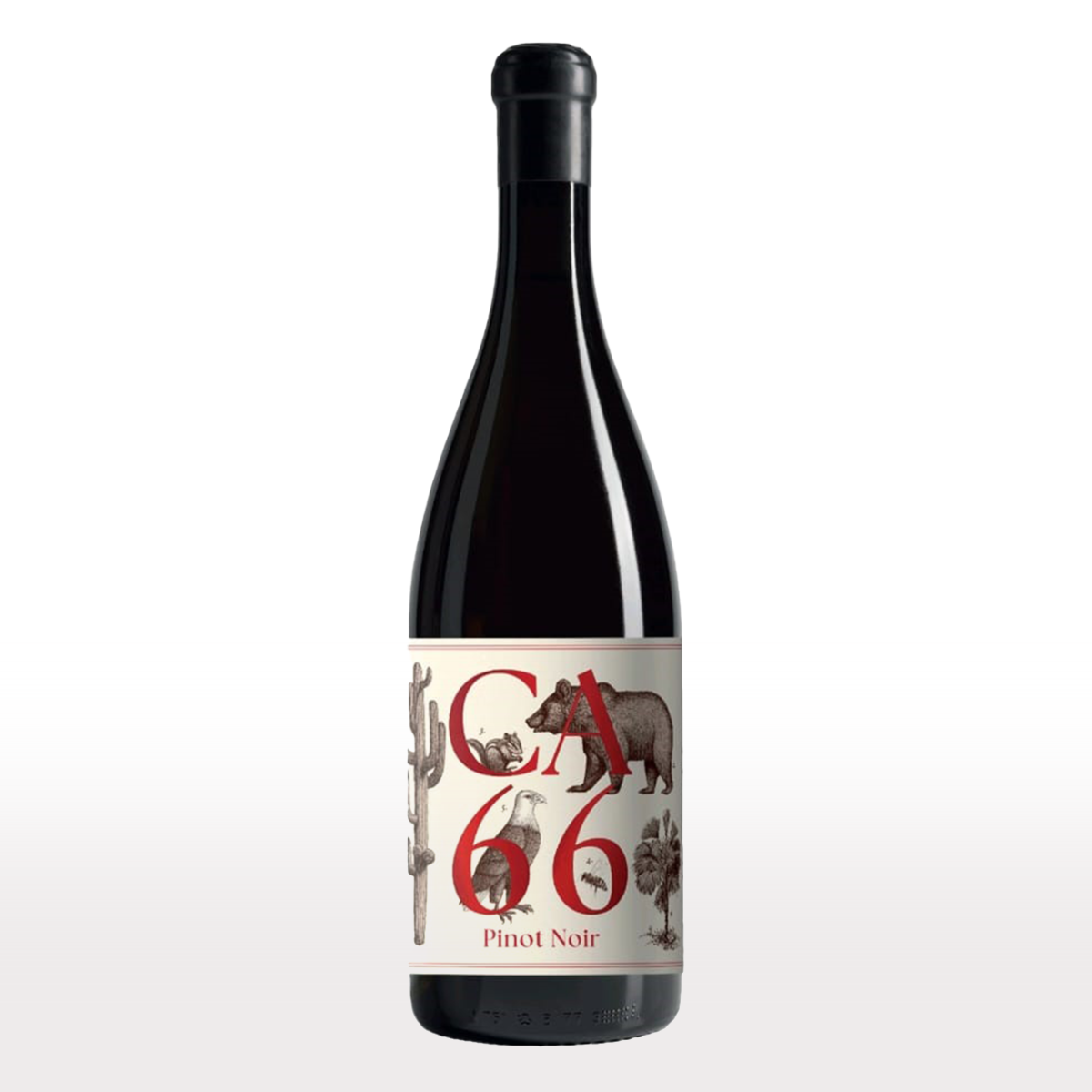 Weingut Hannes Sabathi, Südsteiermark DAC CA 66, Pinot Noir, 2023